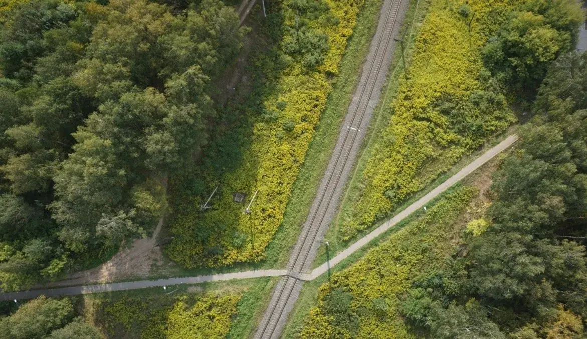 AERIAL PHOTOGRAPHY OF A RAILWAY