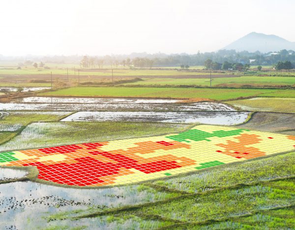 Agriculture field drone mapping