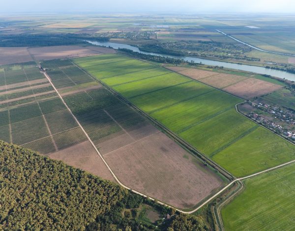 Agriculture field