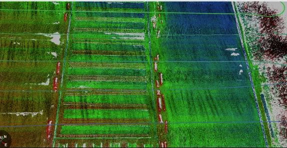 LiDAR point cloud