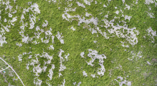 MOUNTAIN TERRAIN MAPPING, MONTENEGRO